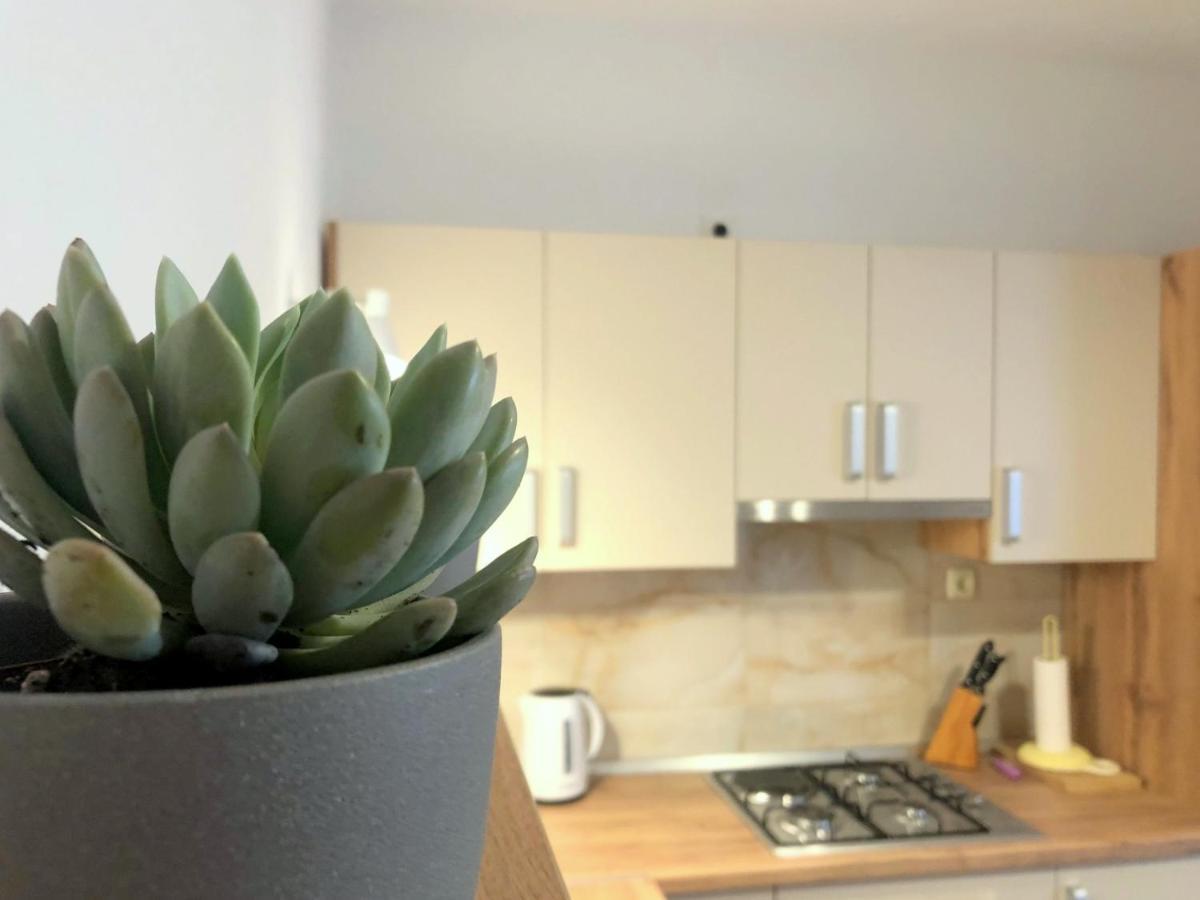 Zoro Apartments Palit Buitenkant foto
